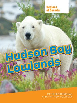 cover image of Hudson Bay Lowland
